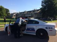 Police Car picture 2