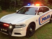 Police Car picture 1