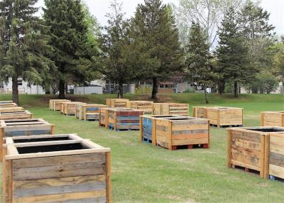 Community Raised Gardens