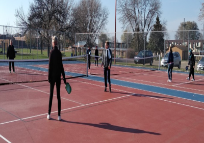 Adult Pickleball - Ladder League