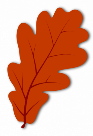 Leaf